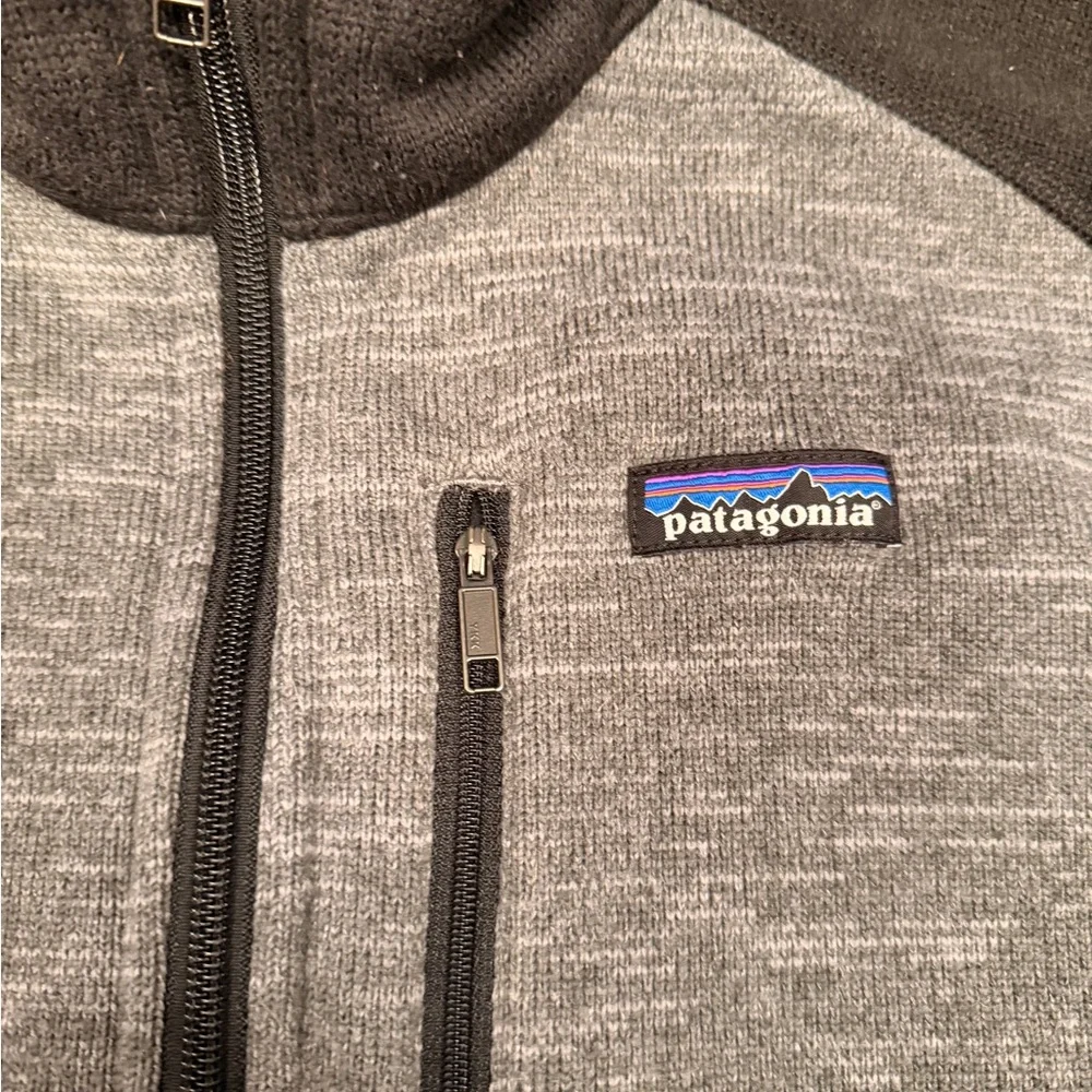 Patagonia Fleece Jacket in Gray - Picture 3 of 5